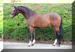 Armani Gold HW stand2.jpeg (2341322 bytes)