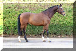 Armani Gold HW stand3.jpeg (7099102 bytes)