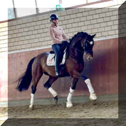 Armani Gold HW trot1.jpeg (265097 bytes)