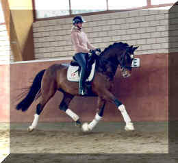 Armani Gold HW trot3.jpeg (331067 bytes)