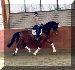 Armani Gold HW trot5.jpeg (305629 bytes)