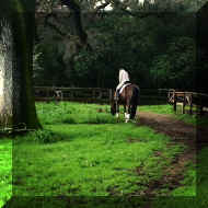 IMG_1038.JPG (341644 bytes)