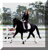 10.jpg (352962 bytes)