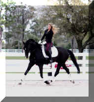 2.jpg (347742 bytes)