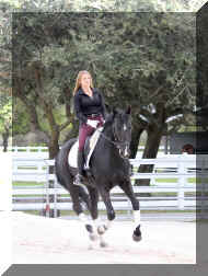 3.jpg (426058 bytes)