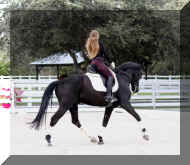 6.jpg (404238 bytes)