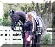 8.jpg (400074 bytes)