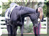 9.jpg (355080 bytes)