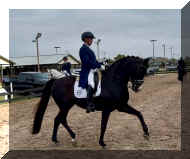 657672786_10162928236063565_9116780181889299708_n.jpeg (272738 bytes)