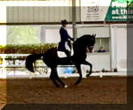 Pic20190.JPG (263334 bytes)