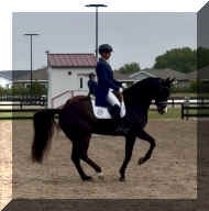 Pic20191.JPG (357941 bytes)