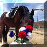 IMG_0030.JPG (132027 bytes)