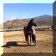 IMG_0337.JPG (254716 bytes)