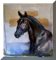 Pic3971.jpg (816024 bytes)