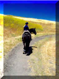 DanceAwayHWAnjaI.jpg (139626 bytes)