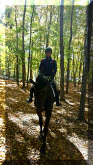 IMG_2612.jpg (834761 bytes)