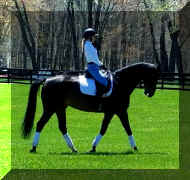 Pic5038.jpeg (735422 bytes)