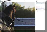 Pic5943.jpeg (709503 bytes)