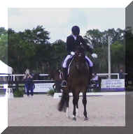 Pic7042.jpg (368720 bytes)