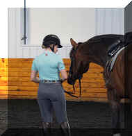 Pic5403.jpeg (406142 bytes)