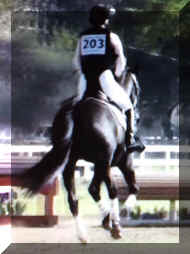 screenshot_786.jpg (433816 bytes)