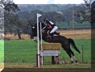 Pic5855.jpg (218578 bytes)