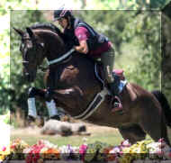 Pic5856.jpg (119773 bytes)