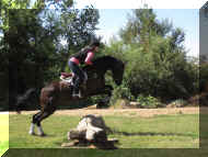 Pic5857.jpg (1080941 bytes)