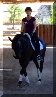 modified.png (196991 bytes)