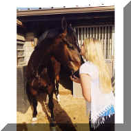 photo2.JPG (140527 bytes)