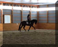 Pic4292.jpg (207800 bytes)