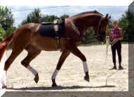 FavoritHWday1c.jpg (456010 bytes)