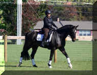 Pic5766.jpg (386361 bytes)