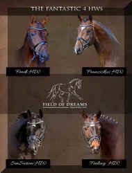 Pic5131.jpg (336340 bytes)