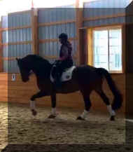 Pic4301.jpg (484951 bytes)