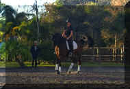 Pic4095.jpg (309760 bytes)