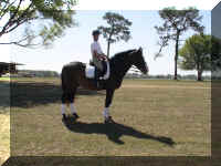 figgy clinic.jpg (39775 bytes)