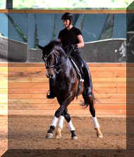 Pic6803.jpg (908567 bytes)