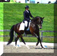 photo 2.JPG (80335 bytes)