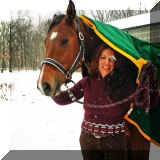 photo.JPG (487658 bytes)