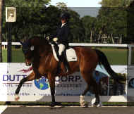 Pic6174.jpg (637329 bytes)