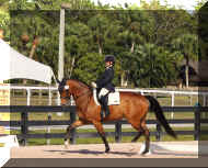 Pic6176.jpg (758453 bytes)