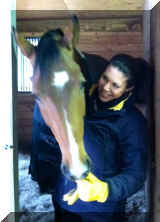 photo.JPG (723651 bytes)