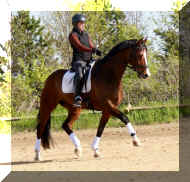 FineStepHW20161.jpg (482916 bytes)