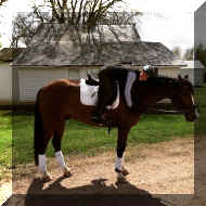 IMG_1485.jpg (193143 bytes)