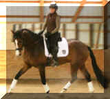 FS.jpg (68631 bytes)