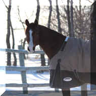 photo.JPG (286667 bytes)