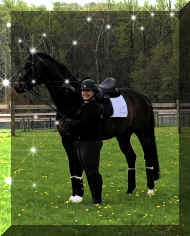 Pic8485.jpg (785161 bytes)