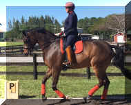 image1.JPG (188445 bytes)