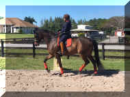 image2.JPG (180049 bytes)